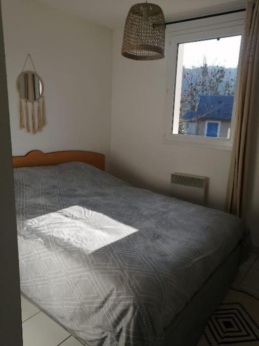 Appartement Calme Et Propre Le Goelia Saint-Geniez-dʼOlt Eksteriør bilde